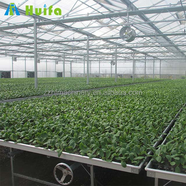 Wholesale Greenhouse Rolling Benches Seed Nursery Bed Agricultural Greenhouse Equipment