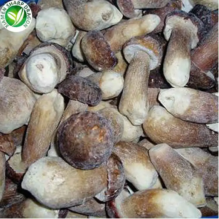 Vente en gros en vrac champignons congelés IQF boletus edulis Sain Naturel Frais organique Congélation Prix de gros Usine Chine