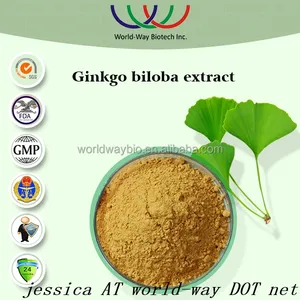 Hot 2015 fournisseur de la chine gros herb médecine ginkgo biloba, 24/6 ginkgo biloba extrait poudre