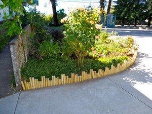 Eco-friendly Bamboo <strong>Border</strong> with <strong>Different</strong> Sizes - Product Image 4
