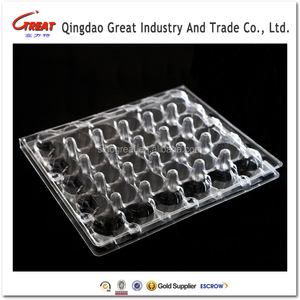 Clear Plastic Quail Egg Tray With 24 Cells
