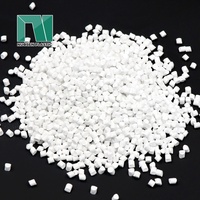 Granulés de masterbatch en plastique PE blanc de haute qualité Shandong NUOSEN, 2-3 mm, applications ABS/PS/PC/PP/PE, MFI personnalisable