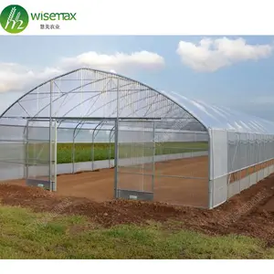 High quality tunnel plastic film inflatable greenhouse for sale