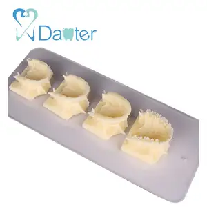 Buena calidad Modelo Dental Decelopment de la mandíbula superior uso Dental, enseñanza