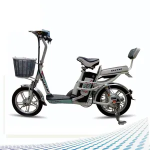 高級高速充電時間Lafree電動自転車バッテリー価格
