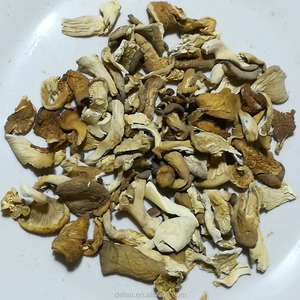 Detan Kering Jamur Tiram Grosir Harga - Product Image 4