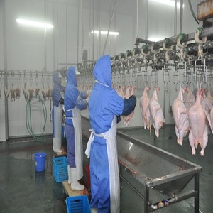 Hühner füße Reinigungs maschine Geflügel Ente Fuß Verbrühungs schälmaschine im Schlachthof verwenden - Product Image 2