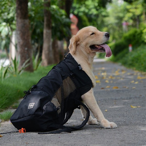 Toptan <span class=keywords><strong>a</strong></span>çık spor ayarlanabilir nefes seyahat köpek taşıyıcı sırt çantası yürüyüş sürme için - Product Image 3