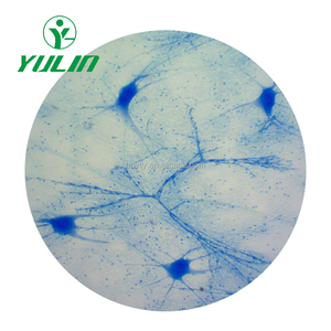 100 Loại Mô Học Giải Phẫu Người Đã Chuẩn Bị Slide - Product Image 3