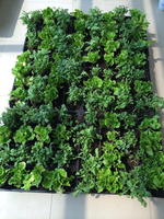 Jardins sur toit verts, bacs à plantes pour toits verts SL-X5015, plateaux carrés en plastique pour pots de fleurs