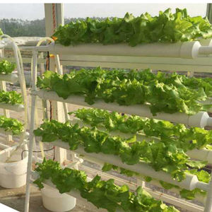 Kit de culture de <span class=keywords><strong>jardin</strong></span> d'intérieur à 108 trous pompe automatique jardinière en pot de pépinière pour support de plante de semis <span class=keywords><strong>sans</strong></span> <span class=keywords><strong>eau</strong></span> pour légumes - Product Image 6