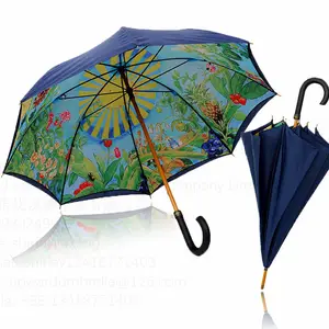 定制印花雨伞直双层图片印花雨伞内时尚女用雨伞