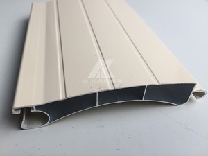 Lame de <span class=keywords><strong>volet</strong></span> <span class=keywords><strong>roulant</strong></span> en aluminium extrudé vertical de 55 mm pour stores vénitiens extérieurs - Product Image 6