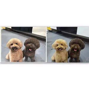 Chất Lượng Cao Handmade Tùy Chỉnh Pet Dog Puppy Chân Dung Sơn Dầu Nghệ Thuật Trên Vải Từ Ảnh