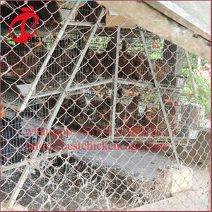 Precio más bajo Chciken Jaulas Venta Aves de Corral Waterer para granja Capa Gallineros de China - Product Image 3