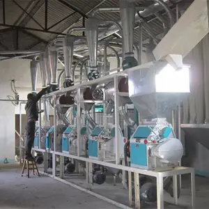 탄자니아에서 판매를 위한 20TPD 옥수수 가루 축융기 옥수수 Grits 생산 라인