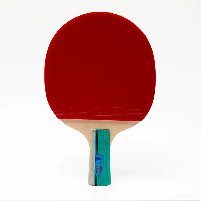 Raquette de tennis de Table 1 étoile professionnelle, en bois, ping-pong, haute qualité, livraison gratuite