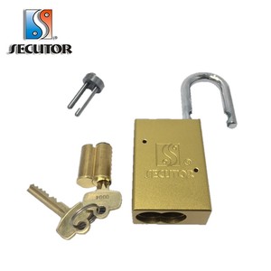 Cadenas en aluminium à noyau Interchangeable SFIC - Product Image 1