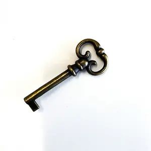 Schlüssel rohlinge Hochwertiger dekorativer Metalls chl üssel