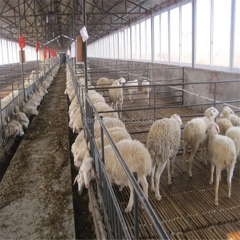 Estrutura de aço de baixo preço pré fazenda para casa de agricultura de ovelha