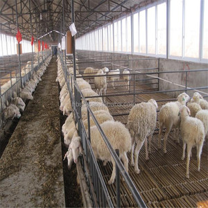Ferme en acier à bas prix, m, pré-ferme pour ferme de mouton - Product Image 1