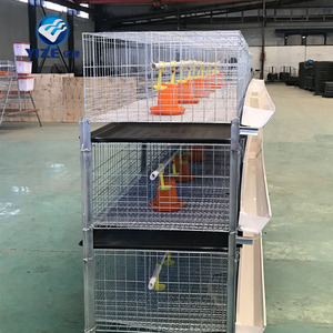 H Loại Gà Lồng Gà Nuôi Lồng Để Giữ Lớp Gà (Kenya Uganda Zimbabwe Và Nigeria) - Product Image 3