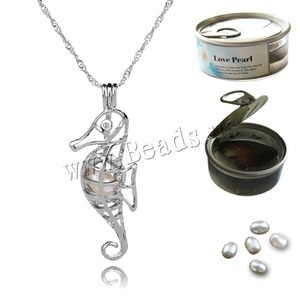 Pendentif <span class=keywords><strong>cage</strong></span> en perle d'eau douce classique et mignon, collier à fermoir, styles différents, alliage de zinc creux plaqué argent, bijoux cadeau - Product Image 3