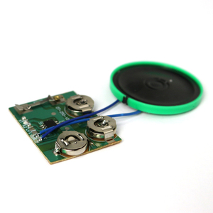 Modulo Audio IC Personalizzabile per Biglietti d'Auguri con Interruttore a Scorrimento - Product Image 2