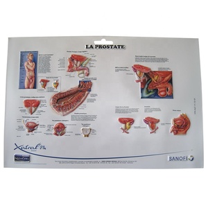 Carte graphique 3d gaufré, tableau médical en plastique, affiche murale en PVC, Promotion spéciale - Product Image 4