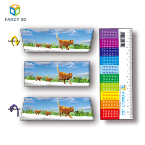 Règle parallèle imprimable en plastique, règle 3D claire, produit de vente en gros, Design personnalisé - Product Image 5