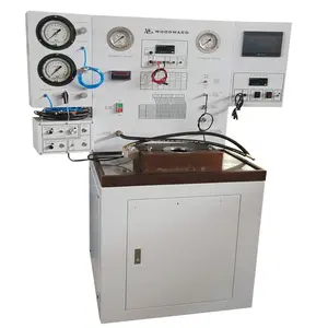 Woodward BK2000 PG-EG EGB 200 PG200 PGA SG PSG EGB-2 EGB-58 EG-3 RHD6 TY111 TY555 moteur marin gouverneurs banc d'essai 220V - Product Image 1