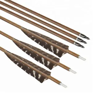 Flèches hybrides en carbone, 12 pièces, arc de tir à l'arc, pour la chasse