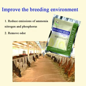 Feed grade additive für tier essen und desodorierung