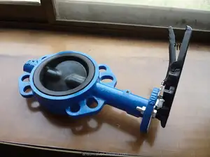 disc coated rubber wafer butterfly valve