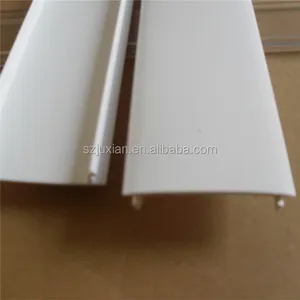 PVC/ABS/PC/PE/PP plastic extrusion profile plastic sections extrude lens