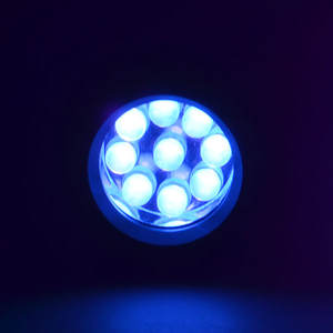 Bán Buôn <span class=keywords><strong>9</strong></span> <span class=keywords><strong>LED</strong></span> UV Đèn Pin 365nm 385nm 395nm Bước Sóng Hợp Kim Nhôm Mini Blacklight <span class=keywords><strong>Keychain</strong></span> <span class=keywords><strong>9</strong></span> <span class=keywords><strong>LED</strong></span> Đèn Pin Với Nhà Máy - Product Image 5