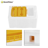 Matériel d'apiculture, boîte d'accouplement, boîte d'élevage des abeilles, boîte Nuc, ruche en polystyrène