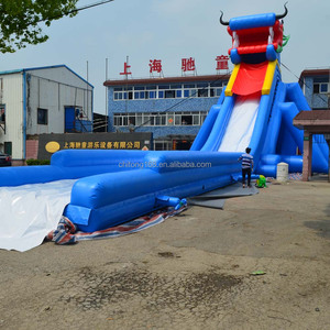 Hấp dẫn Bơm Hơi Khổng Lồ Trượt Nước Cho Người Lớn - Product Image 3