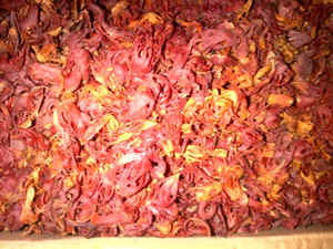 MACE SIAW MANADO - Product Image 2