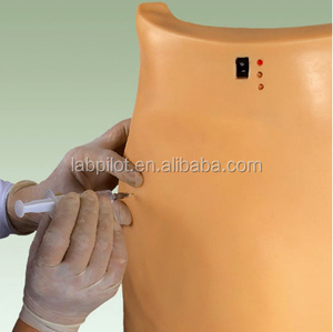 Mô Hình Đào Tạo <span class=keywords><strong>IM</strong></span> Mô Phỏng Tiêm Mông Điện Tử - Product Image 2