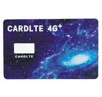 Tarjeta SIM CR80 de PVC/Tarjeta de Llamadas/Tarjeta para Celular con Ranura, Impresión Personalizada, Chip RFID NFC 213, Impermeable, para Membresías y Negocios