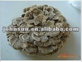 Naturel Certifié Biologique turquie queue extrait de champignon/champignons polypores versicolores extrait - Product Image 2