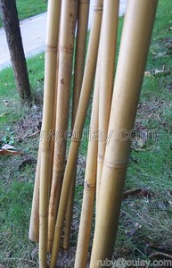 Los postes de bambú de <span class=keywords><strong>Guadua</strong></span> se pueden dividir - Product Image 2