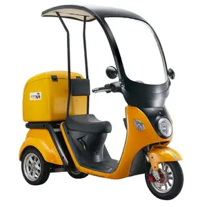 Electric Scooter Listrik Mini Sepeda Motor Sepeda Listrik Listrik Mobilitas 3 Roda Motor Listrik untuk Orang Dewasa