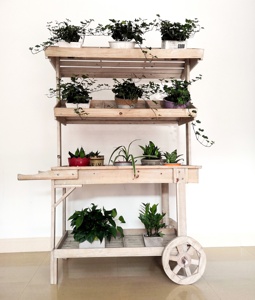 Étagère <span class=keywords><strong>de</strong></span> présentation en bois pour <span class=keywords><strong>pot</strong></span> <span class=keywords><strong>de</strong></span> fleurs, 3 niveaux, pour plantes, avec roulettes, 1 pièce - Product Image 1