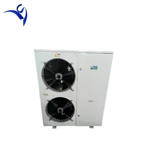 Tecumseh compressor hermético 2HP ao ar livre telhado montado sala fria unidade de refrigeração