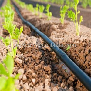 Tuyau d'irrigation goutte à goutte intégral de 16 mm avec <span class=keywords><strong>goutteur</strong></span> cylindrique, tuyau PE, tube d'irrigation goutte à goutte, application d'eau pour ferme en plein air, emballage enroulable - Product Image 5