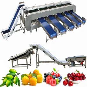 Fruits and Vegetables Processing Line for Olive Washing Machine with Olives Sorting Equipment