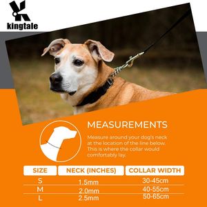 Kingtale Accessoires <span class=keywords><strong>pour</strong></span> animaux de compagnie Collier de martingale réglable <span class=keywords><strong>en</strong></span> nylon <span class=keywords><strong>pour</strong></span> <span class=keywords><strong>chien</strong></span> Accessoires <span class=keywords><strong>pour</strong></span> <span class=keywords><strong>chien</strong></span> <span class=keywords><strong>en</strong></span> corde de nylon solide <span class=keywords><strong>Laisse</strong></span> <span class=keywords><strong>pour</strong></span> <span class=keywords><strong>chien</strong></span> durable - Product Image 4