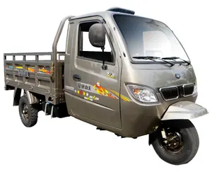 800cc Nặng Tải Cargo Ba Bánh/Closed 3 Bánh Xe Gắn Máy/Xe Tải Cơ Giới Với Lái Xe Phòng